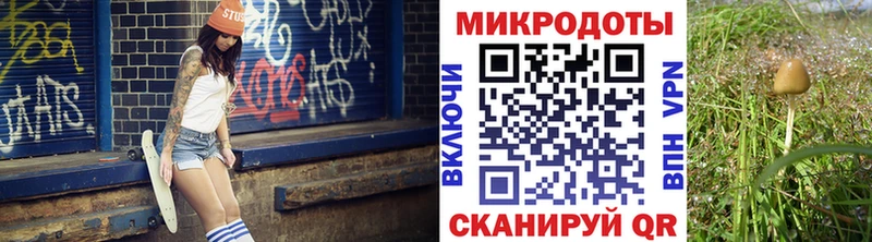 Галлюциногенные грибы Cubensis  Изобильный 