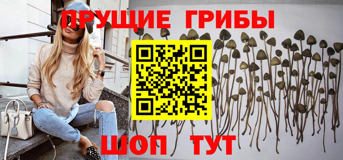 Изобильный  Псилоцибиновые грибы мицелий  Вход с VPN 